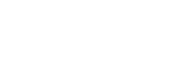 PARAN INTERNATIONAL GROUP Logo